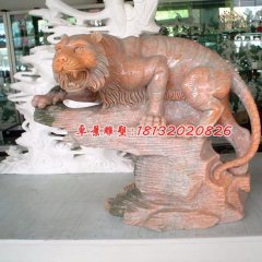 老虎石雕，晚霞紅動(dòng)物石雕