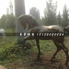 馬銅雕，公園動(dòng)物銅雕